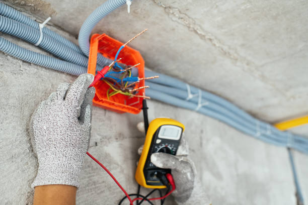 Best Electric Panel Repair  in Gowanda, NY